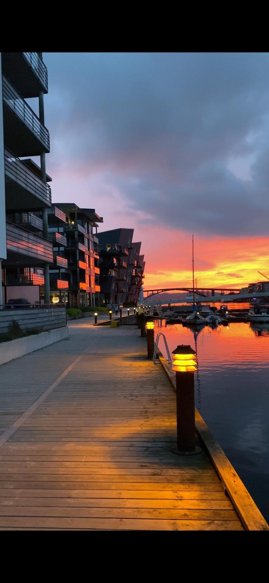 Nydelige Damsgardsveien, 3-Roms Moderne Leilighet! Bergen Exterior foto